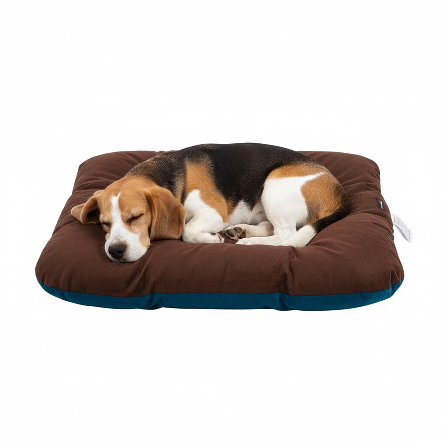 Amazon Basics Pet Bed | Medium| Reversible Premium Velvet Pet Bed for Cats & Small/Medium Dogs (Pug, Beagle, French Bulldog) | Soft & Durable | Coffee & Light Blue | 72 × 72 × 7 cm