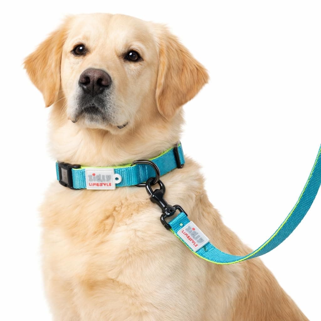 Zigly Lifestyle Classic Padded Dog Collar & Leash Set | Adjustable Comfortable Walking Combo for Medium Dogs | Durable Matching Collar & Leash | Neon Green | Medium