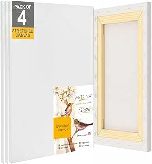 Artist Standard Series 10 Oz (440 GSM) 100% Cotton Pre-Stretched Canvas with Wooden Frame 18x40 mm | Primed Canvas Stretched for Oil & Acrylic Painting 12" x 24" (30x60 cm), Pack of 2