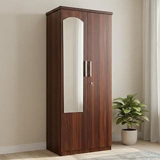 CASPIAN Engineered Wood Furnitures Streak Textured 2 Door Wardrobe with Mirror