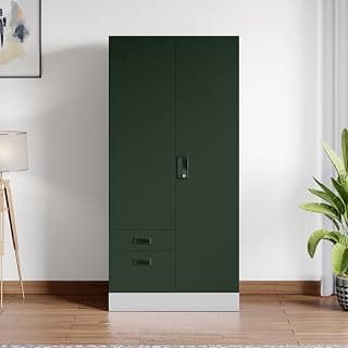 Interio by Godrej Slimline Dual 2-Door Steel Almirah with Mirror (Rainforest), 1-Year Warranty, 1 Locker, 2 Drawers
