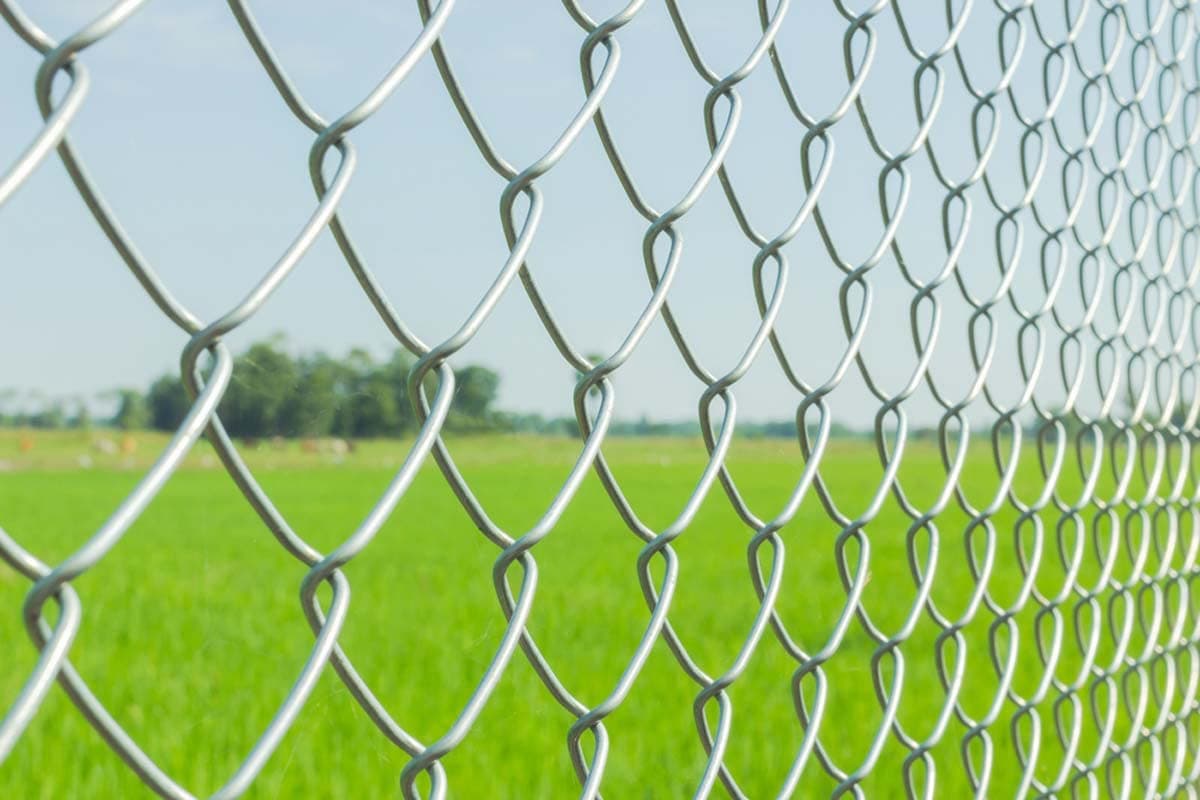 Fencing Chain Link Net For Fencing Mesh D Fence Wire Height 4 Feet/Length: 50 Feet Diameter:2.6 Mm Size 4X4 Inches Ideal For Fencing(12 Gauge Wire), Electric Blue