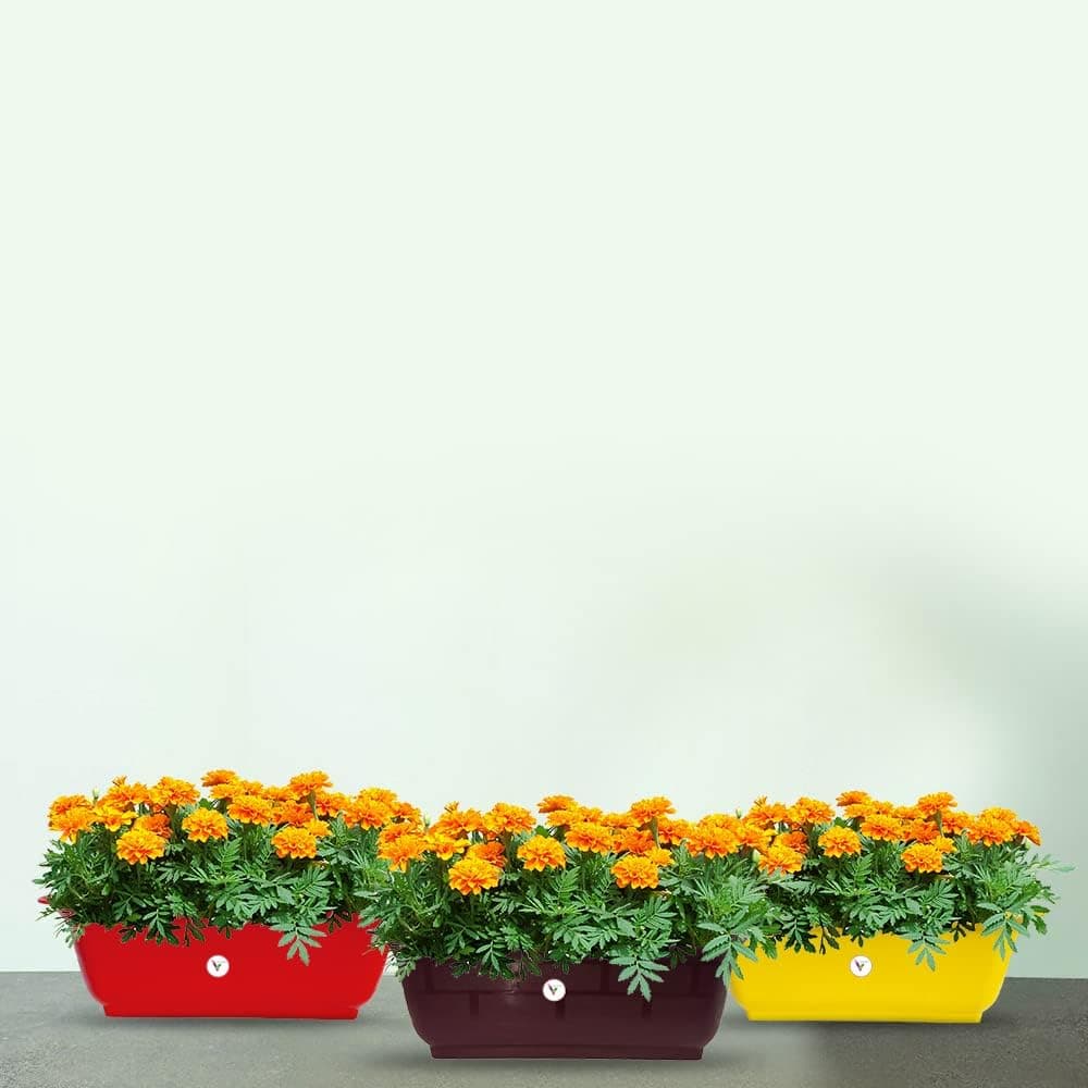 VINSHRA 20 Inch Pots Set of 3 Rectangular Brownish Yellow & Purple UV Protected Lightweight Windows Flowers Planters for Home & Balcony Garden Pots for Indoor and Outdoor