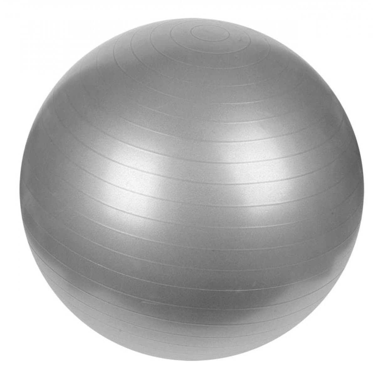 Protoner Gym Ball 65 cms fwith Inflating Pump Grey