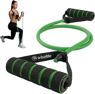 Wiselife Adjustable Resistance Bands with Handles for Exercise | Heavy Duty Workout Bands with Door Anchor for Strength Training, Physical Therapy & Full Body Home Workouts 10kg(Green)