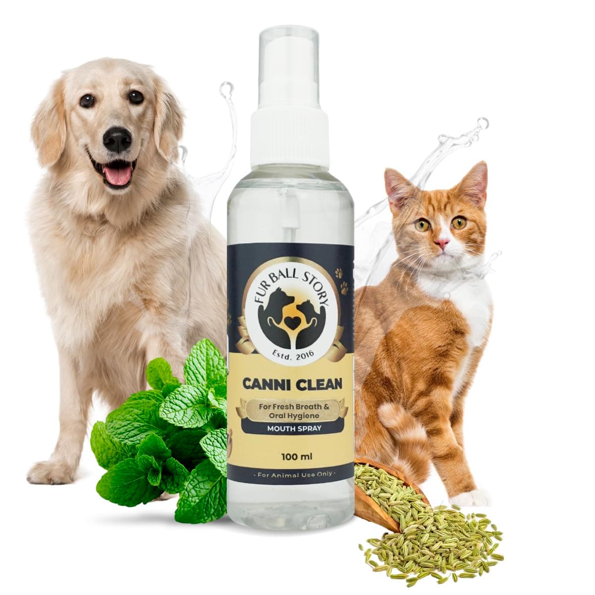 FUR BALL STORY Canni Clean Oral Care Spray for Dogs| Pet Dental Spray for Fresh Breath, Plaque & Tartar Removal | Supports Gum Health & Teeth Cleaning | with Peppermint, Fennel (Saunf) & Clove Oil