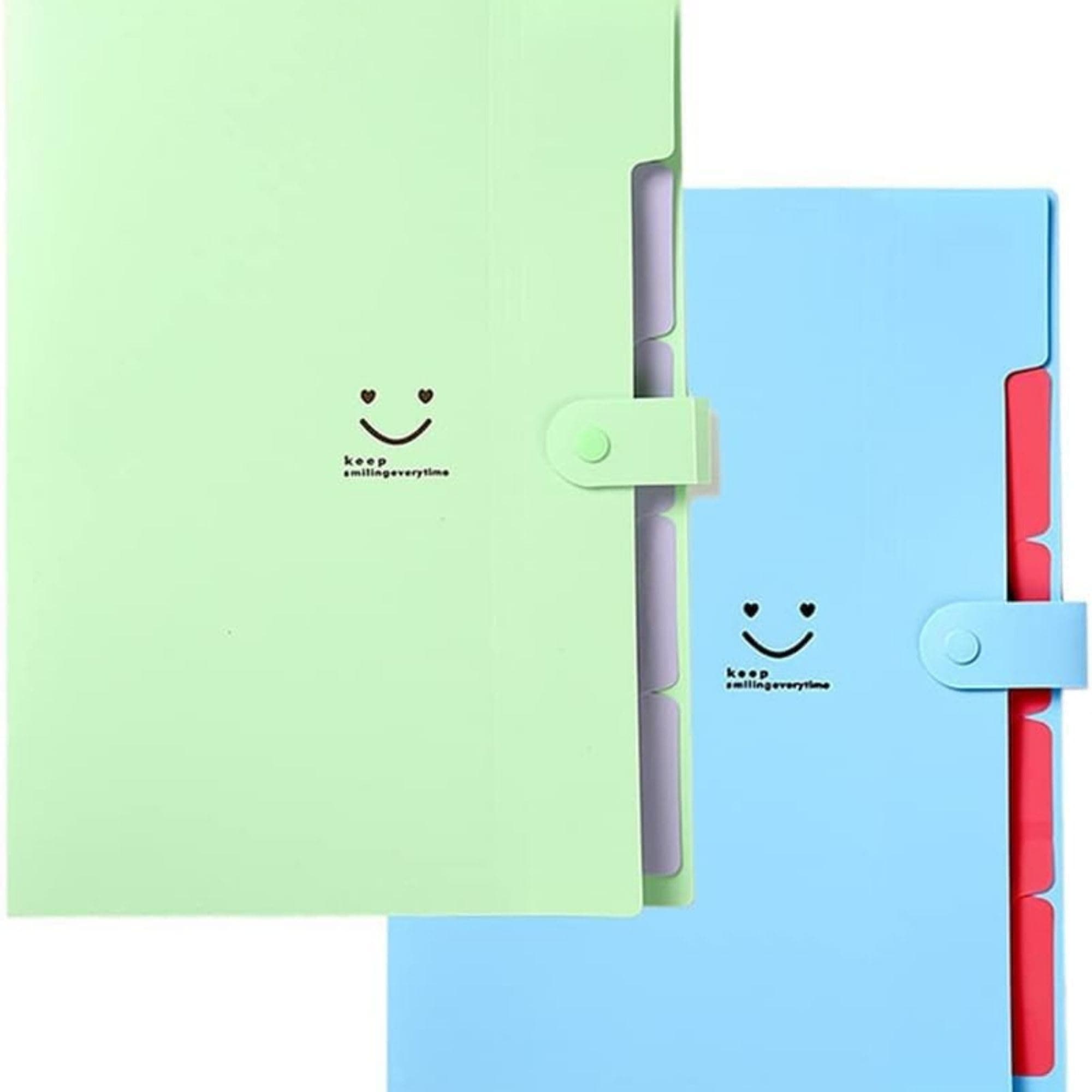 Corslet Pack of 2 Multipurpose Expanding File Folder File Holder for Documents with 5 Pockets Organizer Plastic A4 Size Organizer for Personal Use Certificates Documents Portfolio and Executive File