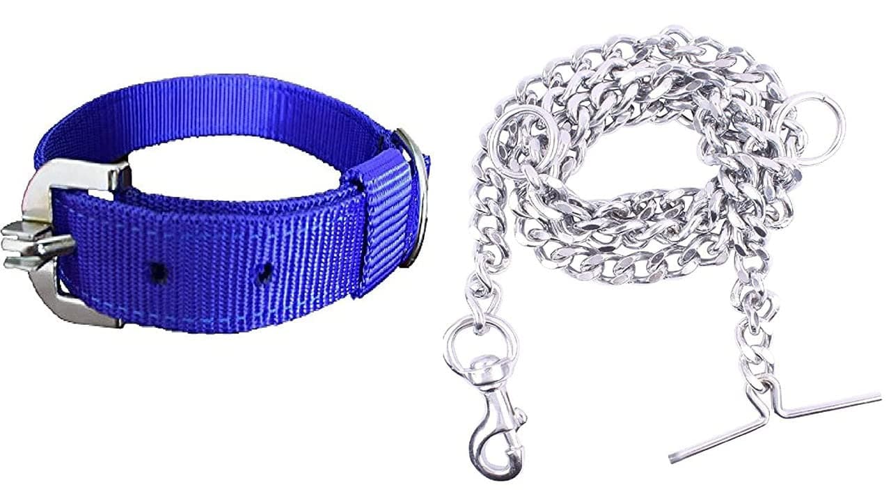 PSK PET MART Dog Belt Combo of Dog Collar with Dog Chain Specially for Medium & Large Dogs (3/4 Inch Under Weight 10-25 kg, Blue)