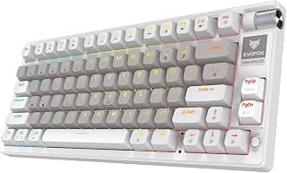 EvoFox Ronin Mechanical Keyboards Wireless (BT+2.4GHz+Wired), 9 Layer Structure, Gasket Mount, 75% Layout, 2 Layer Sound Dampening Red Switches, Per-Key RGB, 1000Hz, Windows Software - White