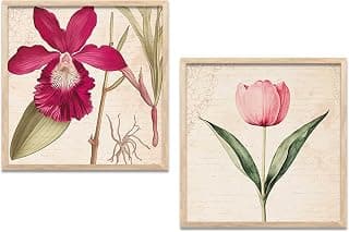 Kotart Botanical Wall Art Painting | Premium Art Framed Wall Paintings For Home Décor | Poster With Frame Wall Decoration Painting | Frames For Home Décor Office Living Room | Set of 2 (Art 1, ( 8X8 inch ), Framed)