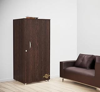 CASPIAN Single Door Wooden Cabinet (Rainforest Brown) | Multipurpose Engineered Wood Pre-Assembled Vertical Furniture | Storage Organizer for Indoor/Outdoor Use | 3 Compartments with Door Lock