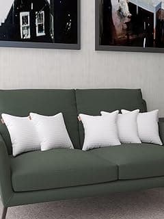 JDX Cushion Filler | Hotel Quality Premium Fibre Sofa Cushions Set of 5 (BD) | Cushion 16 inch x 16 inch | Sofa Pillow,Cushion 18011-5-16x16