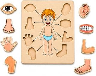 Body Part Puzzle Kids Wooden Toys for Kids 3 + Jigsaw Puzzles for Adults Baby Learning Toys Educational Toys Game for Learning Human Body Parts Anatomy Skeleton - Gift Toys for Boy and Girl