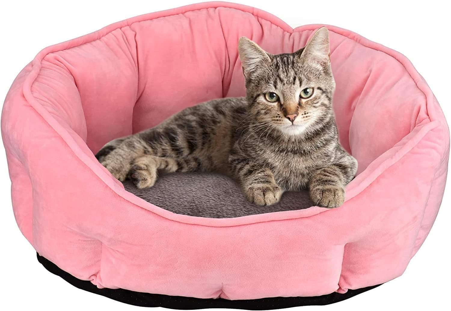 PetLux Velvet Dog Bed Washable Cat Beds for Indoor Cats and Puppy,Silver Grey Dog Bed Sofa for Dogs,Gift for Dogs and Cats,Round Bed.