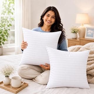 JDX Premium Luxuious Quality Cushion 24X24-Inches Set of 2, 18011-2-24x24