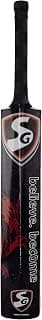 SG Cricket Bat HP Blitz No. 4