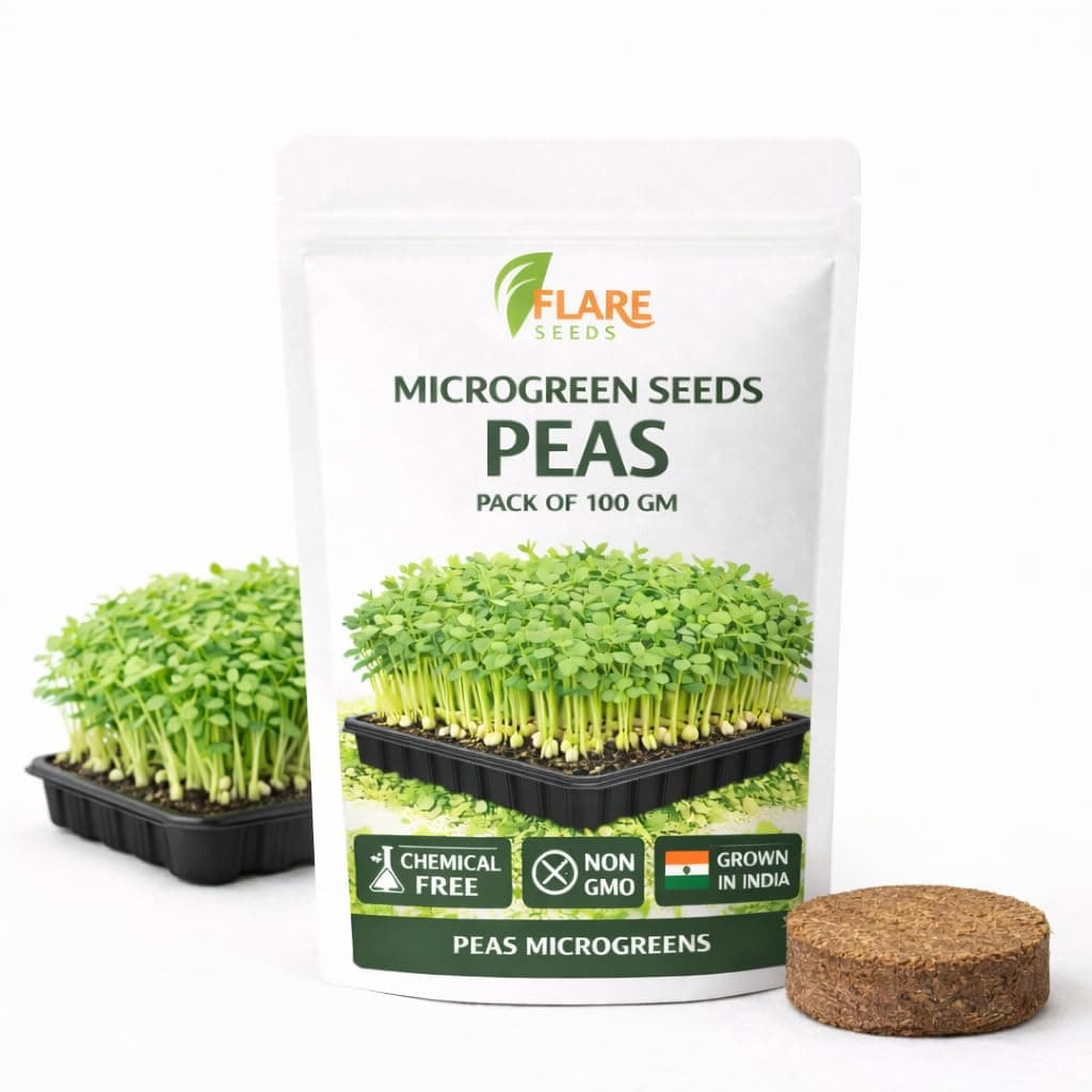 Flare Seeds Organic Pea Microgreen Seeds, Chemical-Free and Non-GMO, 100g Pack with Free Coco Disk, Indoor Growing Kit for Fresh Superfood Sprouts