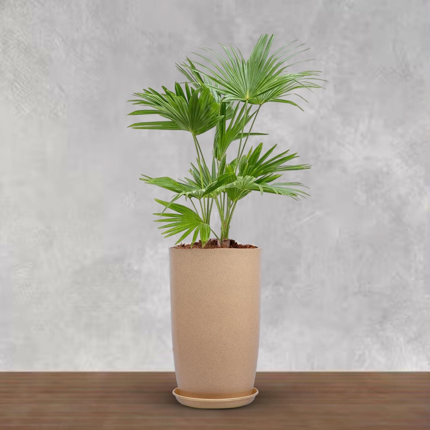 BonKaso 14 inch Beige Flower Pot – Tall, Durable & Lightweight Polymer Tower Planter for Indoor & Outdoor Use: Home, Office, Garden & Balcony (Gamla/Gamale)