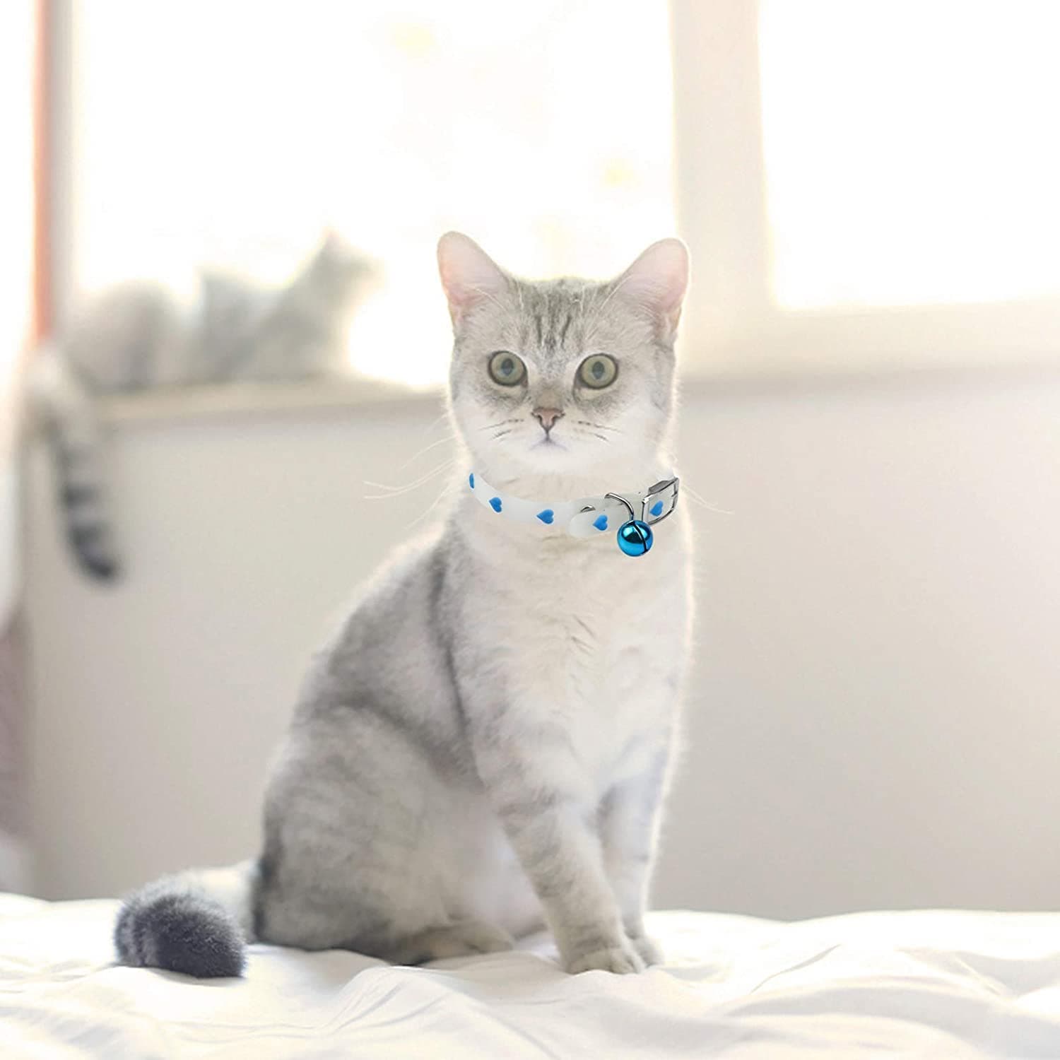 THE DDS STORE Glow in The Dark Cat Collars with Bells, Adjustable Pet Kitten Collars Pet Collars with Metal Buckle, Suitable for All Cat and Small Dog-Color & Pattern May Vary (Pack of 2)