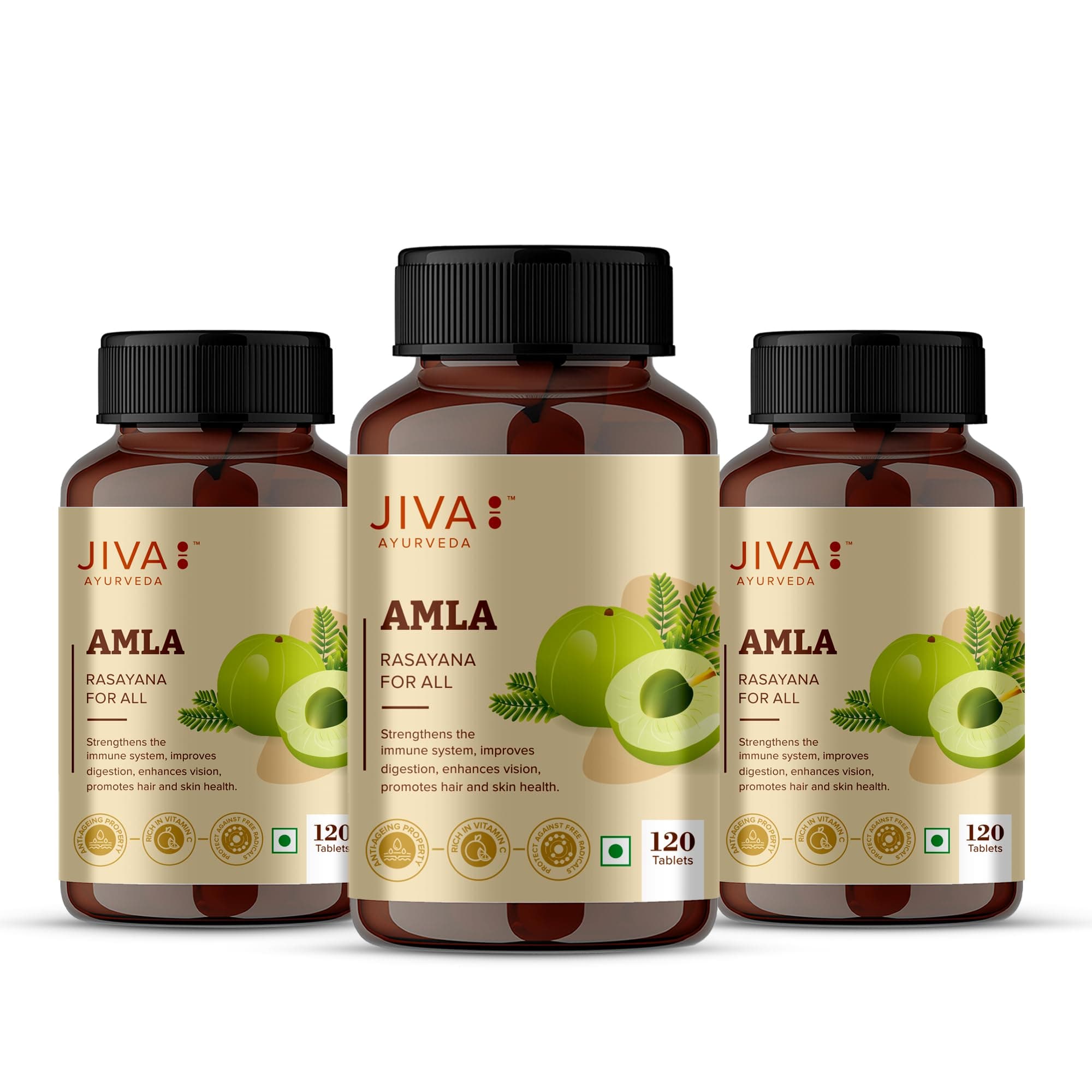 Jiva Amla Tablets 500mg 360 Tablet | 100% Pure Herbs Used, Rich In Vitamin C | Protects Against Free Radicals | Rich In Antioxidants | Improves Digestion | Enhances Vision -120 Tablet (Pack of 3)