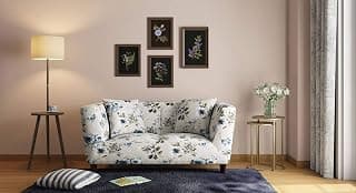 Urban Ladder Janet Loveseat (Colour : Adrian Velvet)