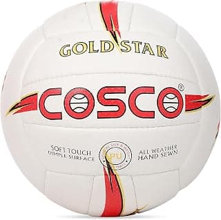 Cosco Leather Gold Star Volleyball