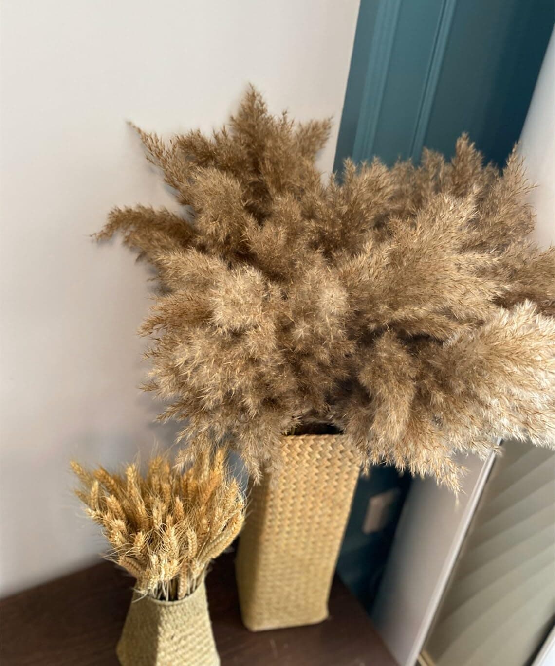 Sorcish Natural Dried Pampas Grass 6 pcs Brown Color Size (25 inches)