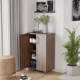 Wakefit Wooden Shoe Rack with Door | 1 Year Warranty | 2-Door Cabinet, Engineered Wood (Winkle - Columbian Walnut)