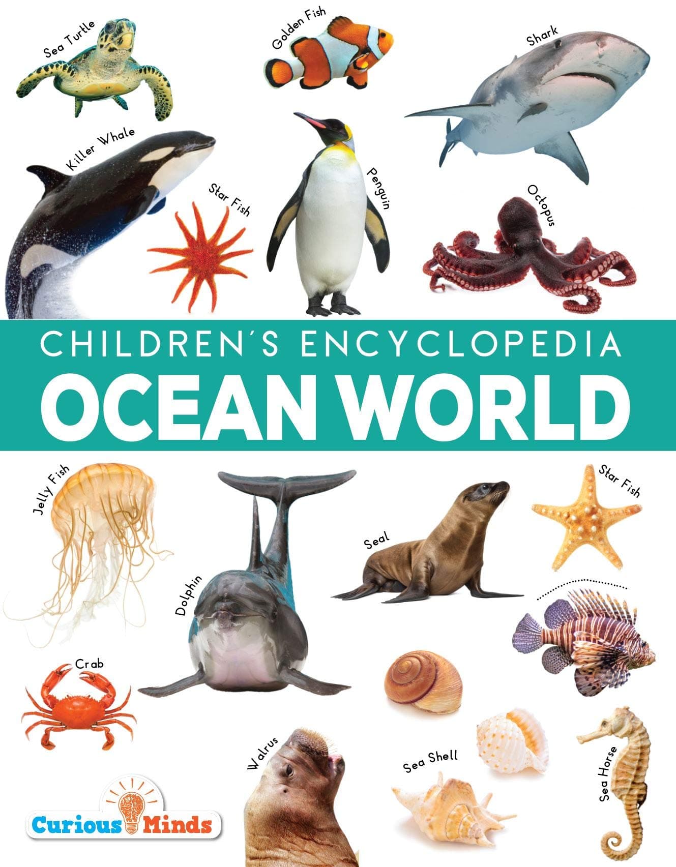 Ocean World Children's Encyclopedia for Kids Ages 8+ | Realistic Images, Marine Life Facts & Timelines | Educational Ocean Book for Curious Young Learners