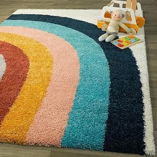 Super Soft Modern Handwoven Multi Shag Collection Anti Skid Carpet for Living Room (Rainbow, 4 x 6 Feet)