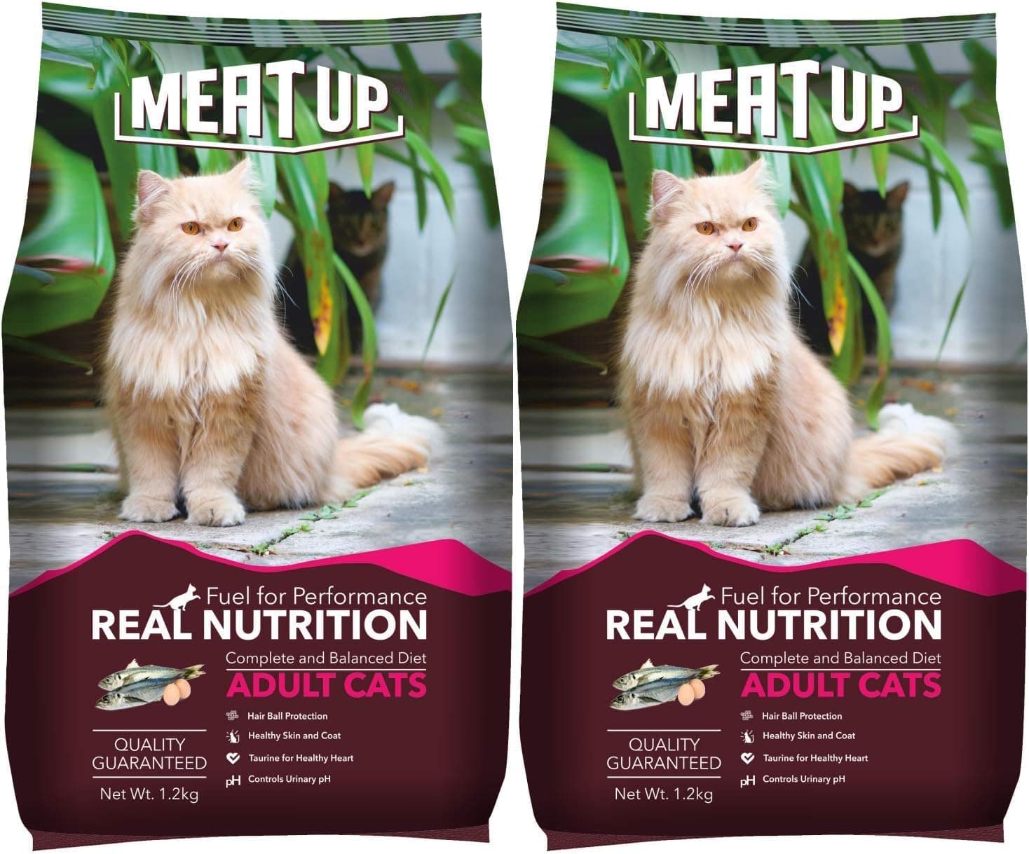 Meat Up Adult Dry Cat Food 1.2Kg + 1.2kg, Total 2.4Kg | Ocean Fish Flavour| Maintains Urinary pH | Hair ball protection | Healthy skin & Coat | Taurine for healthy heart