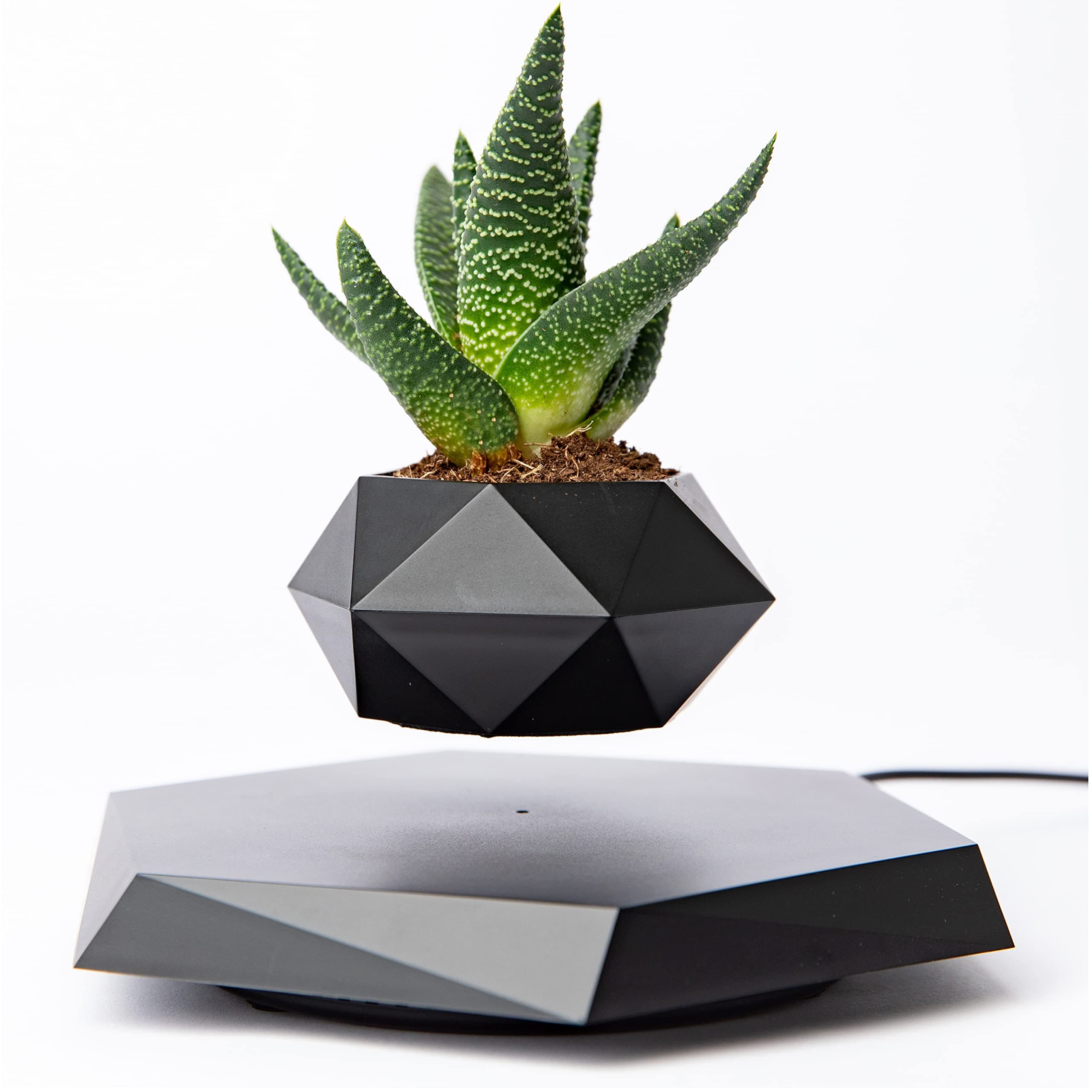 BandD Gameriend Levitating Plant Pot - Floating Plant Pot For Small Plants. Levitating Decor For Home & Office Magnetic Floating Levitating Display (Black)