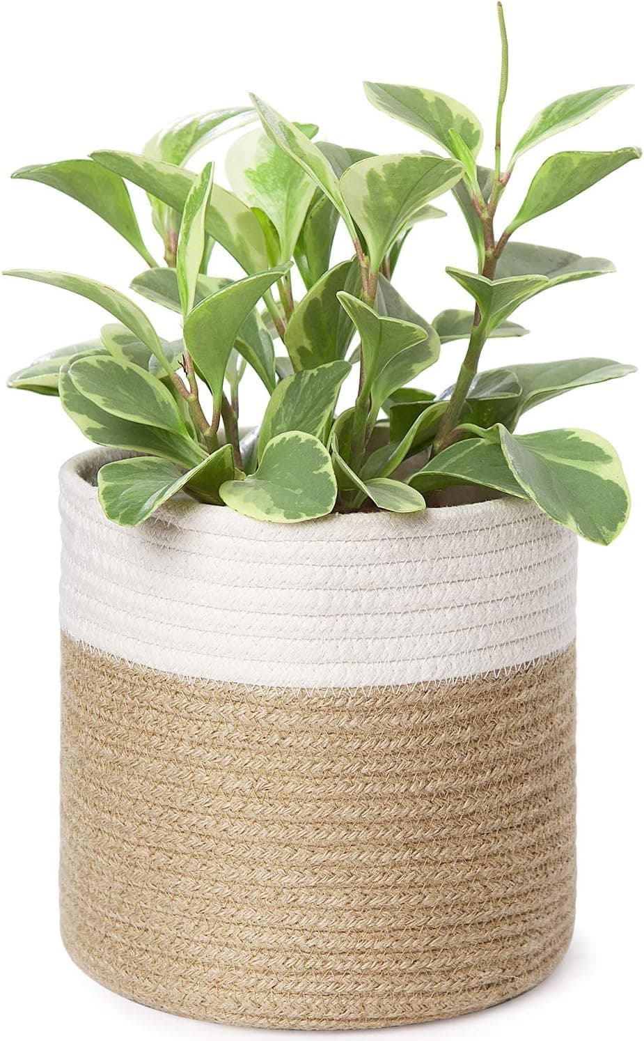 Dahey Small Cotton Rope Plant Basket Woven Plant Coiled Basket for Up to 7" Planter, 7.5" x 8" Decorative Flower Pot Cover Closet Storage Bin Table Desk Organizer for Home Decor, White and Beige