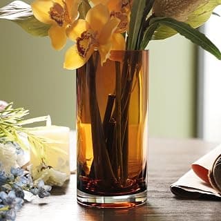 PURE HOME + LIVING Dark Brown Cylindrical Glass Vase - Medium