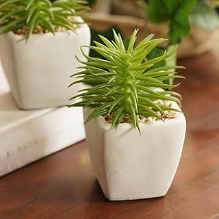 PURE HOME + LIVING Green Artificial Cactus Succulent Plant in Cement Pot
