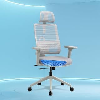 The Sleep Company Flex Ergonomic Chair for Long Sitting Hours | Patented iAdapt Lumbar Support | SmartGRID Technology | Adjustable armrests and headrest | Office and Home | Free Installation | Grey