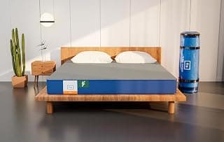 Flo Ergo™ Aloe Vera Infused Memory Foam Mattress with Motion Isolation™ Technology | Medium Soft Feel | 4 inch Mattress in Single Size (78x30x4) | 10 Year Warranty- Grey Colour
