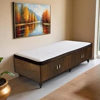 CASPIAN Engineered Wood Single Bed with Legs (Rainforest Brown) | Portable & Compact Size | Multipurpose Divan Bed | with Side & Upper Storage Box | Furniture for Home, Living Room & Bedroom