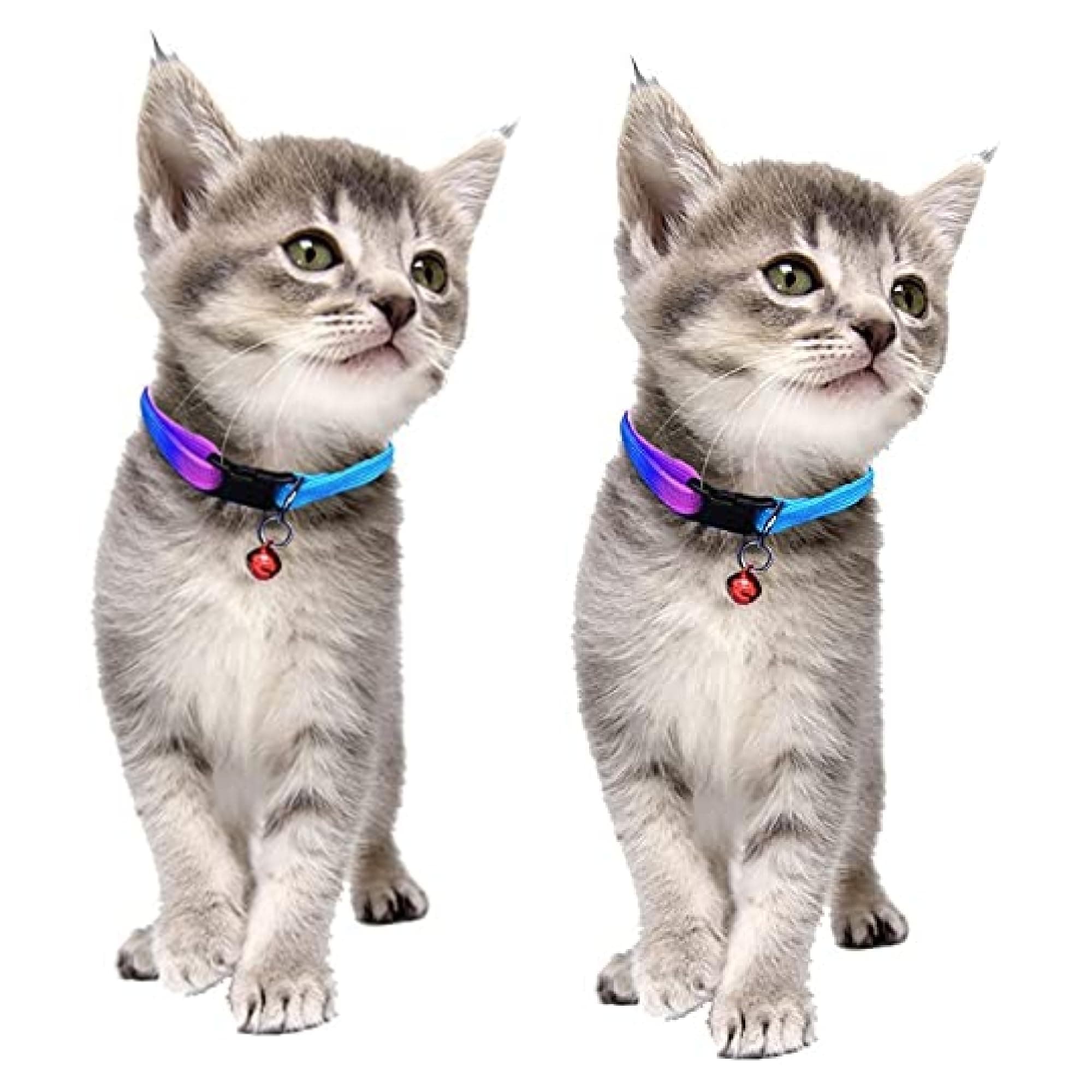 THE DDS STORE Colorful Cat Collar with Bell, Adjustable Rainbow Collars for Cat Kitty Puppy Rabbit Small Animals - (Pack of 2)