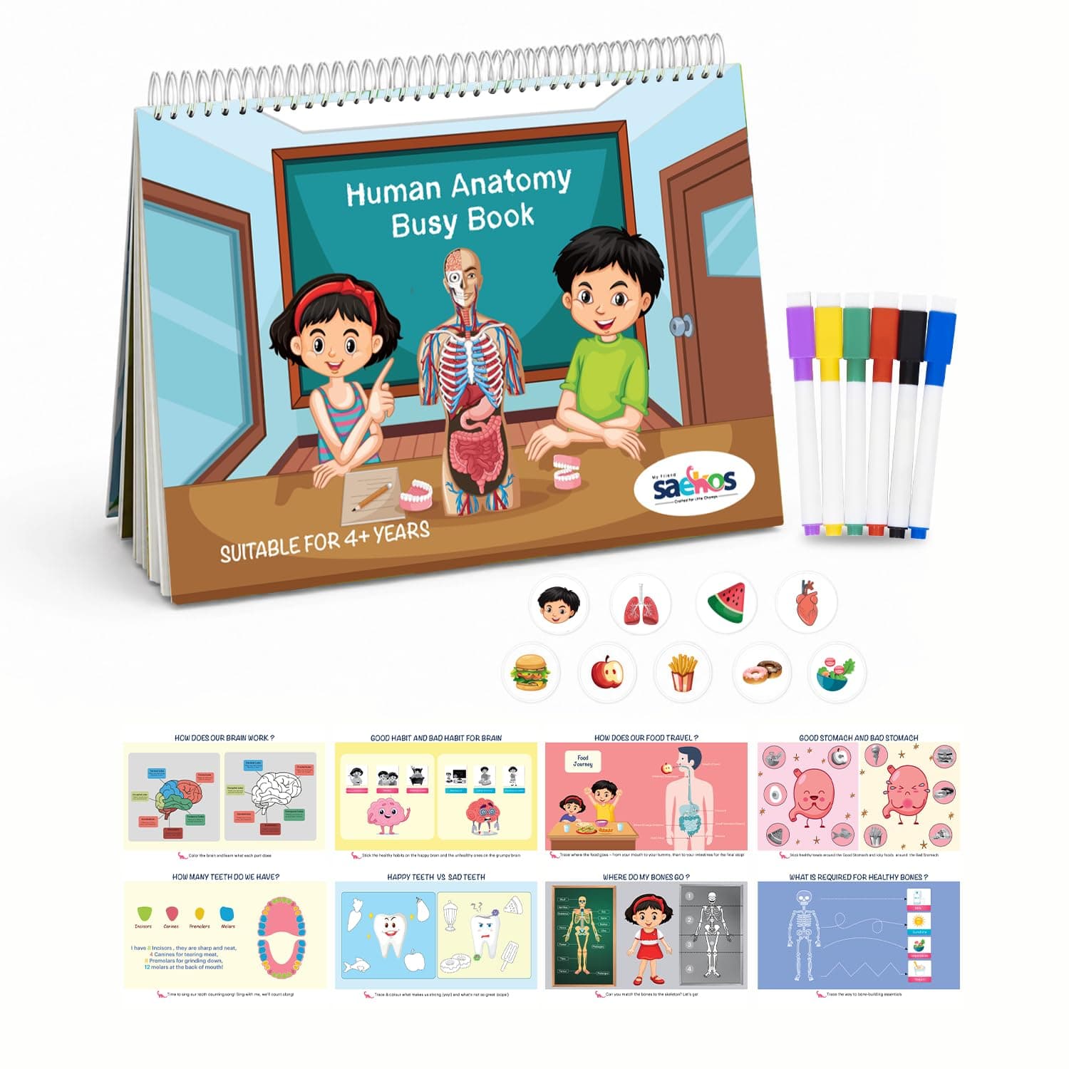 SAEKOS Human Anatomy Busy Book for Kids Age 4-6 | Montessori Educational Activity Book | Learn Human Body Parts & Organ Systems | Preschool Science ... Interactive Workbook | Made in India