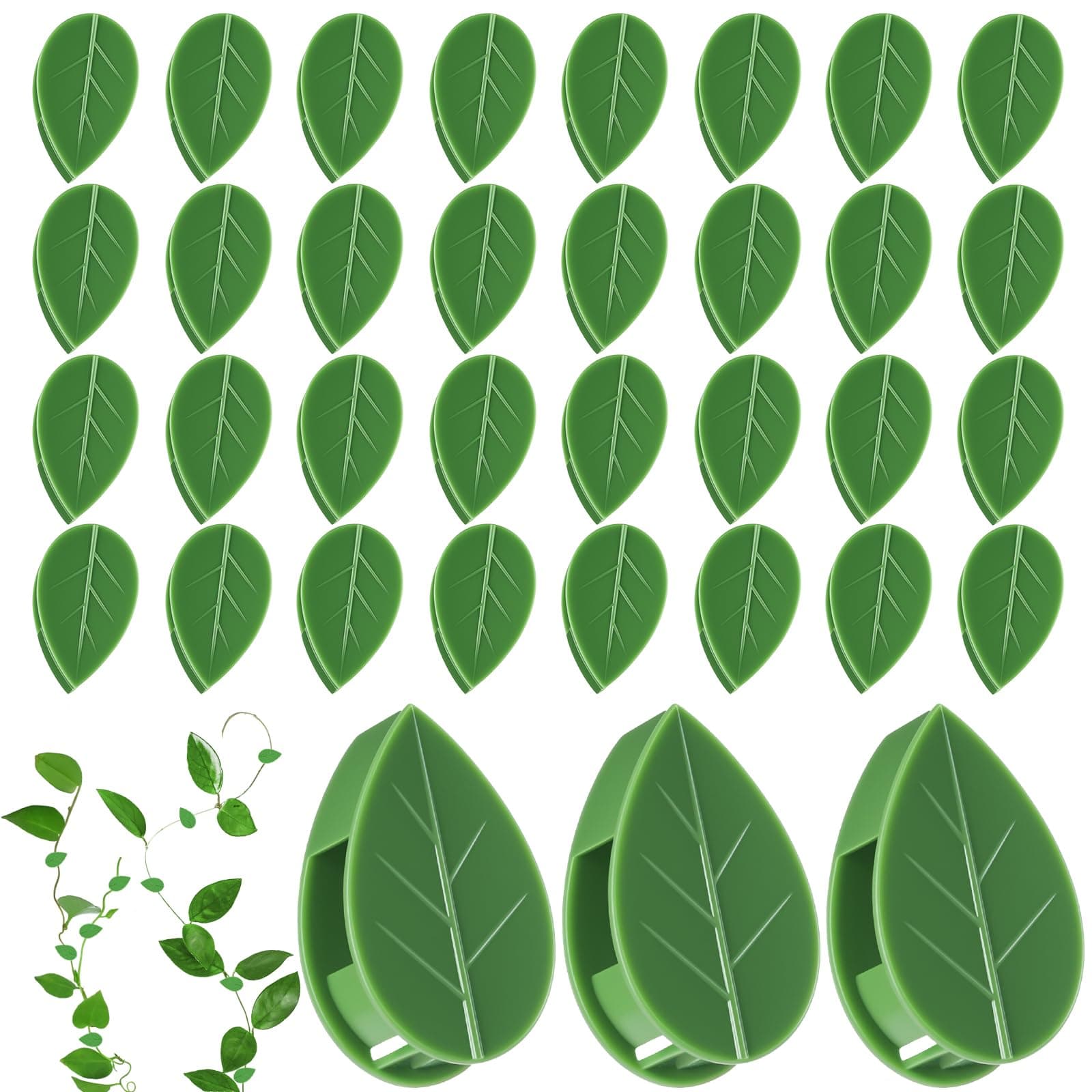 Pack of 60 Plant Climbing Wall Mounting Clips, Invisible Wall Vine Mounting Clips with 72 Acrylic Adhesive Stickers, Self-Adhesive Hook, Plant Fixer for Vine Support and Indoor and