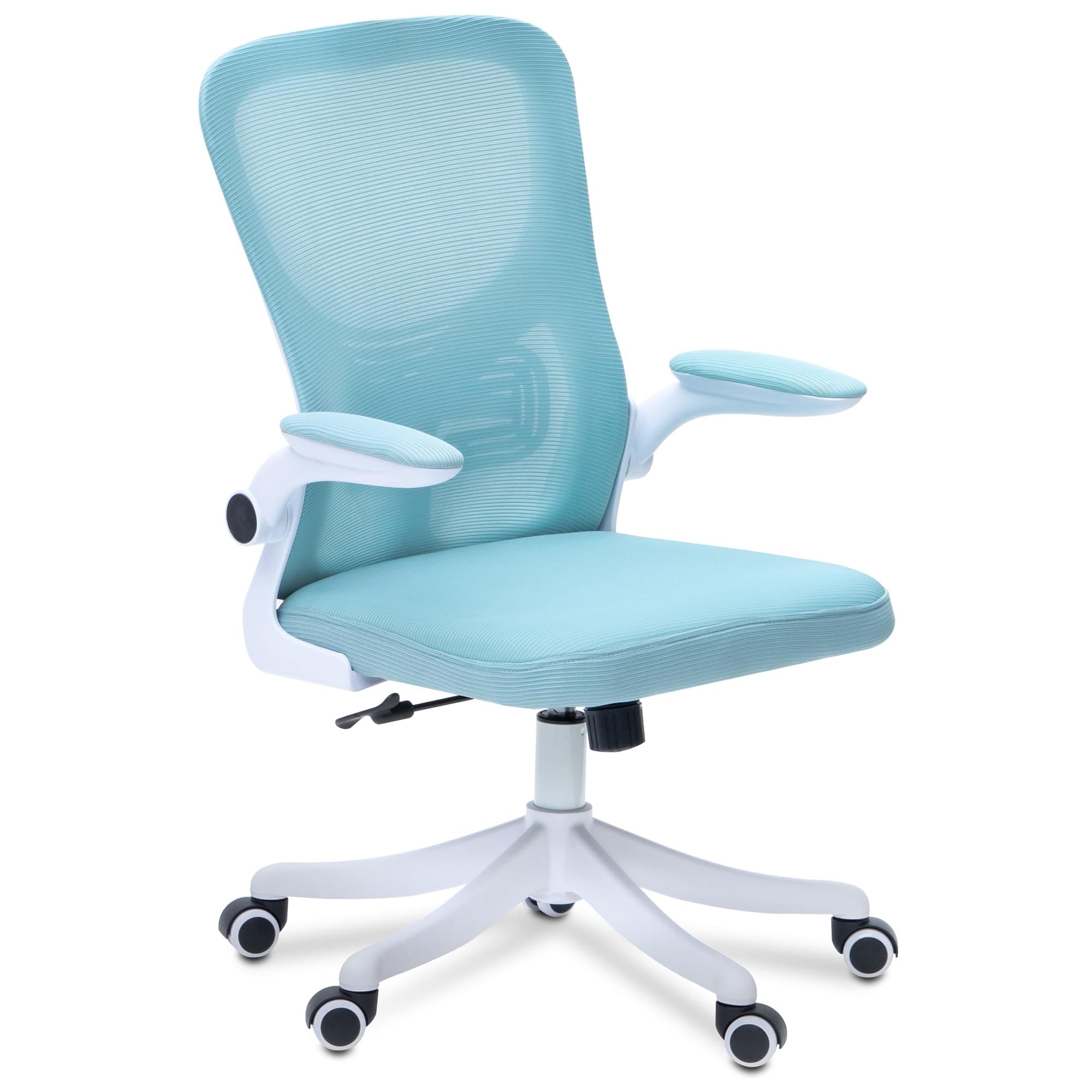 Alex Daisy Plastic Flexo Ergonomic Office Chair/Study Chair/Computer Chair (Without Headrest, Blue)