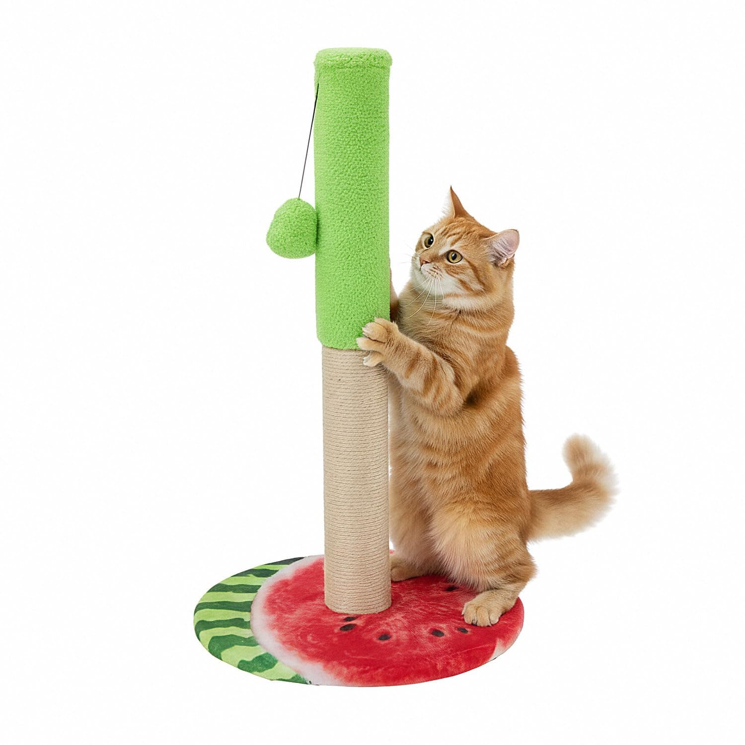 Amazon Basics Cat Scratching Post with Hanging Ball, Natural Jute, Sturdy Wooden Base, Watermelon Theme, 64cm (S)