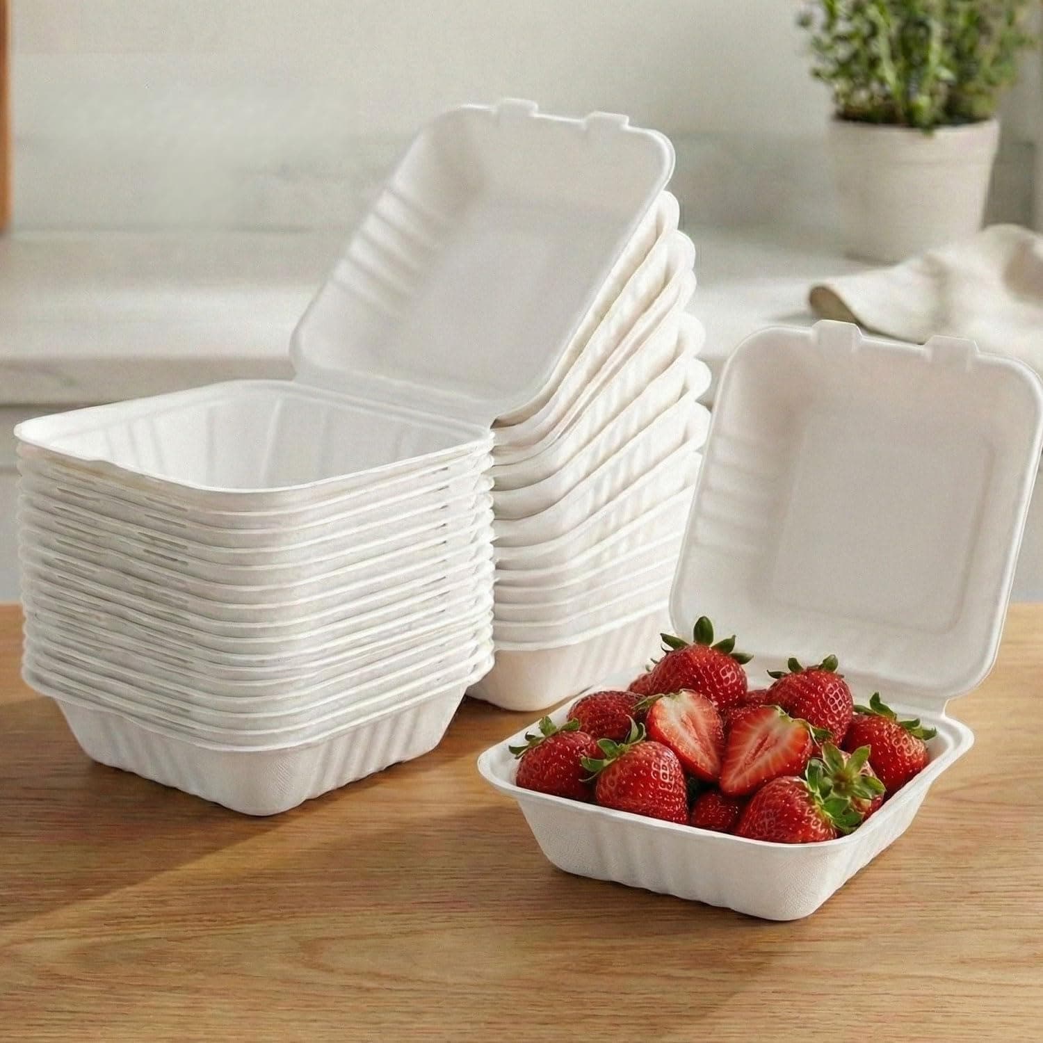 HAZEL Bento Cake Box | 100% Biodegradable Box for Mini Cakes, Lunch Cakes & Home Bakers | Pack of 10
