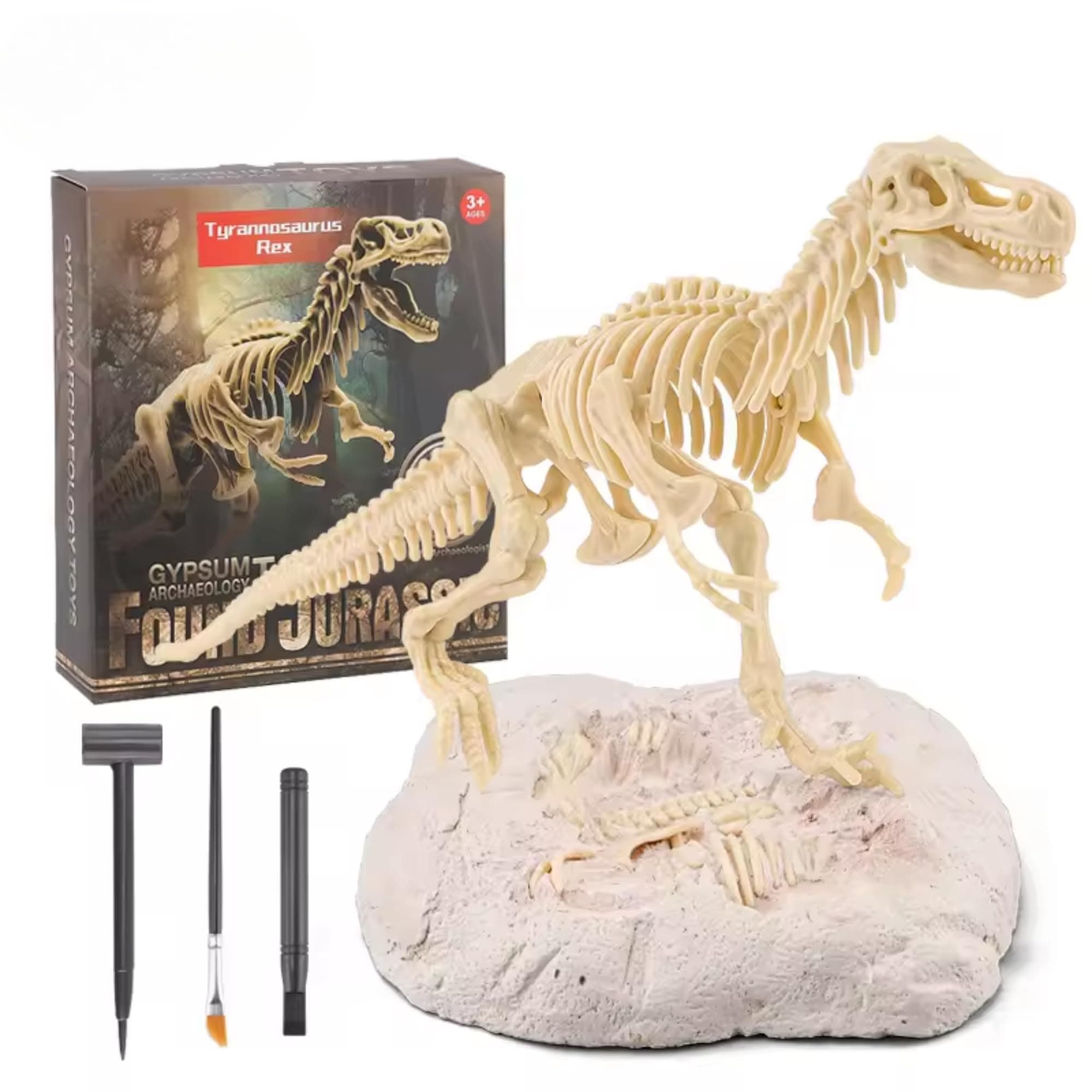 Thrive Toys Dig Up Dinosaurs Skeleton Model - Toys for 3+ Years, Fossil Kit, DIY Stem Educational Science Project Model for Kids 6,7,8,9,10,11,12 Years | Best Birthday Gift (Surprise Dinosaurs Style)