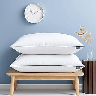 bien LIVING Extra Soft Microfiber Filled Plush Pillow, Down Alternative Hypoallergenic Pillow, 17 x 27 Inches, White (Pack of 2)