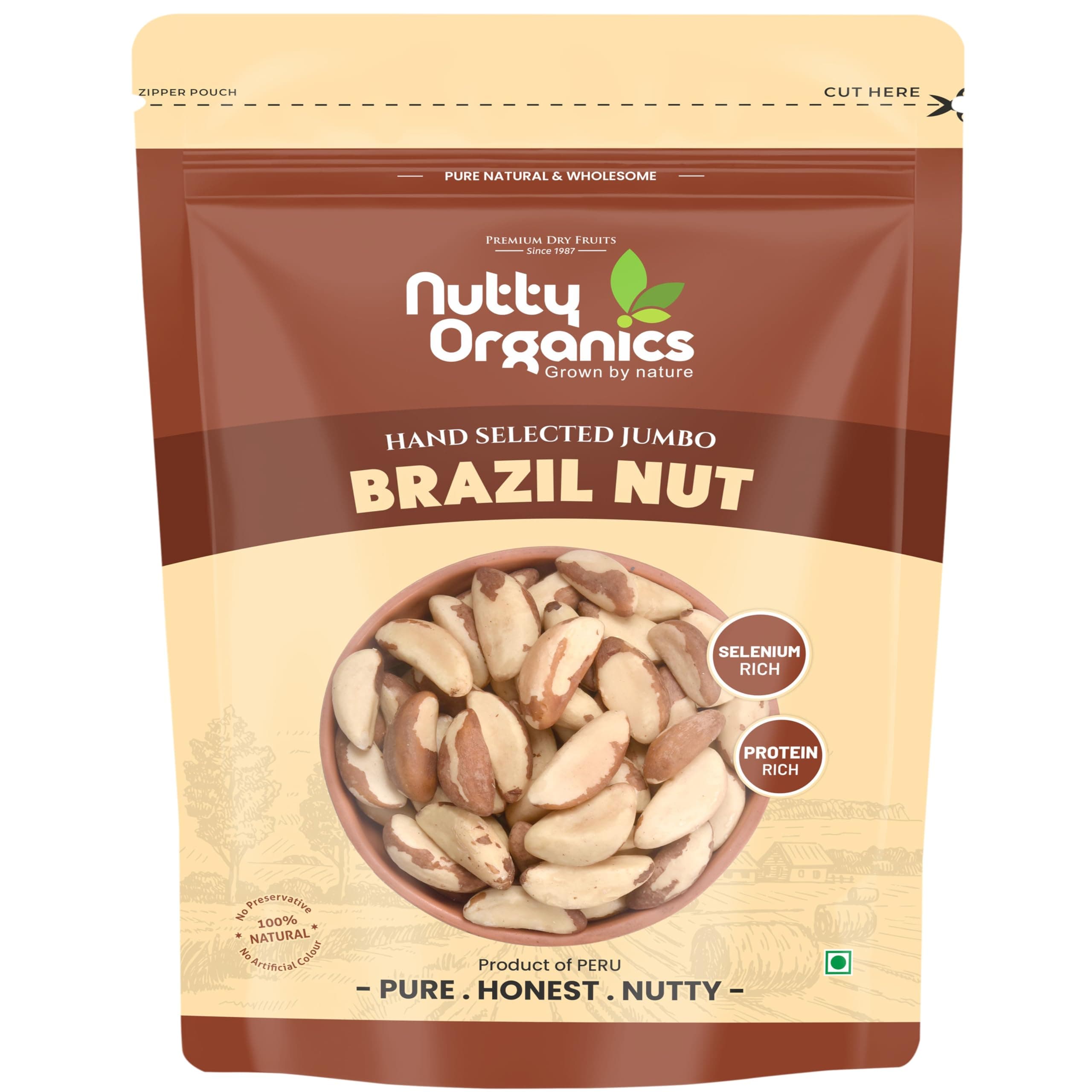 NUTTY ORGANICS Brazil Nuts - 250G (Grade A ++ Nuts, Premium Jumbo Size) - Richest Natural Source Of Selenium