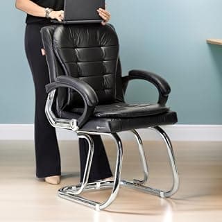 Stainless Steel Special Director Principal Manager Office Visitor Study Chair with Arm Rest with Double Pipe Frame and Cushioned Seat Back (1, Black, Double Pipe Frame)