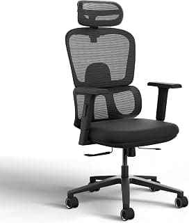 Frido AeroMesh Ergo Chair | Adjustable Armrests & Headrest | Lumbar Support | Breathable Mesh Back Fabric | Customizable Seat Depth & Height | Office Chair for Work & Study |120 kg Capacity | Black