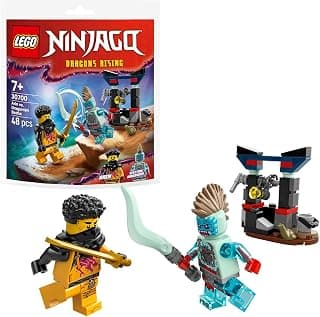 LEGO 30700 Polybags Arin Vs. Dragonian Battle (48 Pieces)
